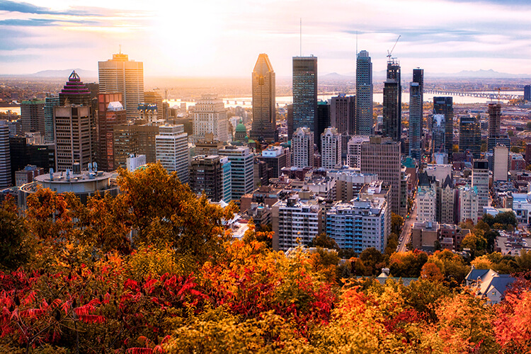 3-reasons-montreal-real-estate-market-grew-2018.jpg