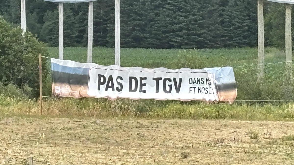 魁省农田边挂着反对高铁的横幅，写着「PAS DE TGV」