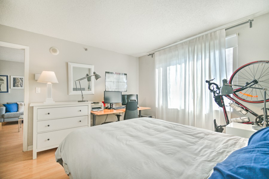 市中心温莎公寓朝南朝花园