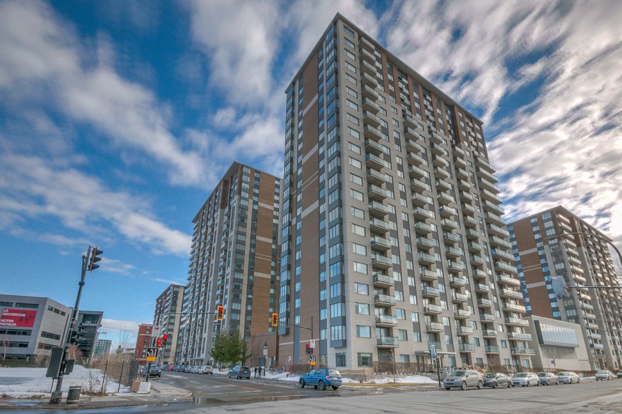 市中心温莎公寓朝南朝花园