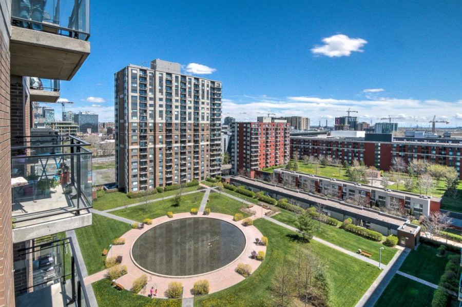 市中心温莎公寓朝南朝花园